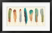 Feather Tales VII Framed Print