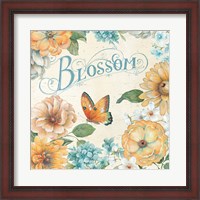 Framed 'Butterfly Bloom II' border=