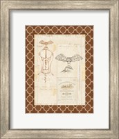 Framed Fancy Corkscrew I Border