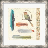 Framed 'Feather Tales II' border=
