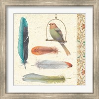 Framed 'Feather Tales II' border=