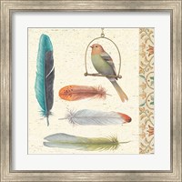 Framed Feather Tales II