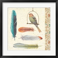 Feather Tales II Framed Print