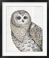Framed Beautiful Owls IV