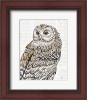 Framed Beautiful Owls III
