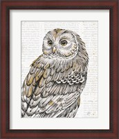 Framed Beautiful Owls III