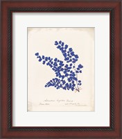 Framed Botanical Fern III Blue Aged