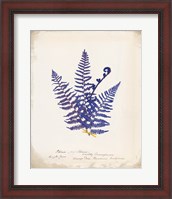 Framed Botanical Fern IV Blue