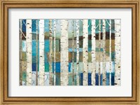 Framed Natural World Birches