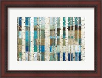 Framed Natural World Birches