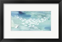 Sea Life II Framed Print