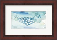 Framed Sea Life I