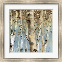 Framed White Forest III