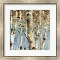 Framed White Forest III