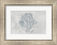 Framed Water Coral III
