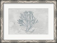 Framed Water Coral III