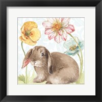 Framed Spring Softies Bunnies III