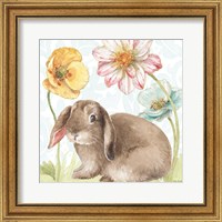 Framed Spring Softies Bunnies III