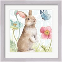 Framed 'Spring Softies Bunnies II' border=