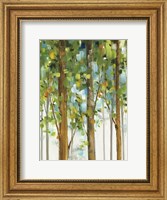 Framed Forest Study II SPC