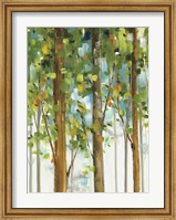 Framed Forest Study II SPC