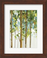 Framed Forest Study I SPC