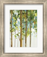 Framed Forest Study I SPC