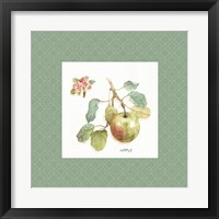 Framed 'Orchard Bloom I Border' border=