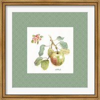 Framed Orchard Bloom I Border