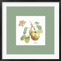 Framed Orchard Bloom I Border