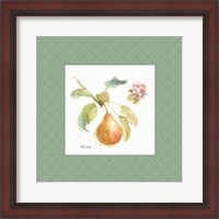 Framed Orchard Bloom II Border