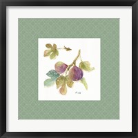 Framed 'Orchard Bloom III Border' border=