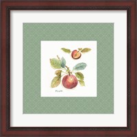 Framed Orchard Bloom IV Border