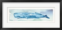 Sea Life V Framed Print