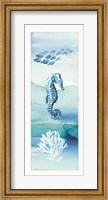 Framed Sea Life VII