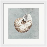 Framed Sand and Seashells I