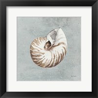 Framed Sand and Seashells I