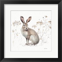 A Woodland Walk XIII Framed Print