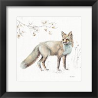 A Woodland Walk XI Framed Print