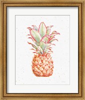 Framed Gracefully Blush Pineapple XI