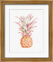 Framed Gracefully Blush Pineapple XII