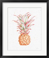 Framed Gracefully Blush Pineapple XII