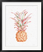 Framed Gracefully Blush Pineapple XII