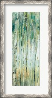 Framed Forest VIII with Teal