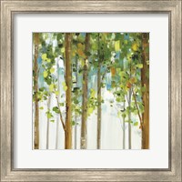 Framed 'Forest Study VIII' border=