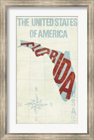 Framed USA Modern Blue Florida State