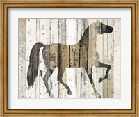 Framed Dark Horse v2
