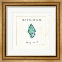 Framed Sea Treasures VI