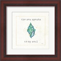Framed Sea Treasures VI