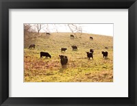 Framed Fall Field I